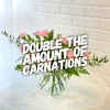 Carnation Presentation premium