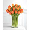 Sunrise Orange Tulips premium