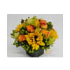 Cymbidium and Sunflower Sunshine deluxe