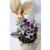 TRIPLE A'S EASTER SPRING PLANT premium