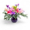 Song of Glory Bouquet premium