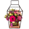 Lantern of Luscious Blooms premium