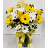 Shinning Daisies premium