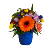 Pop of Colour - Standard. An arrangement by Flowers Plus.