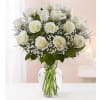 White One Dozen Roses standard