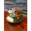 Succulent and Tropical Saucer Bowl standard