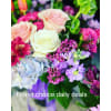 Florist Choice Daily Deal deluxe