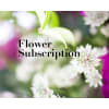 Floral Subscription - Designers Choice - See Attached Notes deluxe