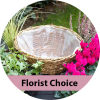 Florist's Choice Assorted Basket/Dish Gardens deluxe