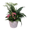 Mothers Day Locally Grown Planters deluxe