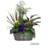 Mothers Day Locally Grown Planters premium