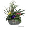 Locally Grown garden dish Planters premium