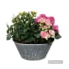Locally made Mothers Day Planter deluxe