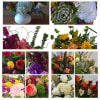 Floral Delivery Subcription - Monthly Deliveries premium