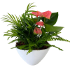 Medium Eileen Tropical Planter - Standard. An arrangement by Flowers Plus.