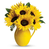 Sunny Day Pitcher of Sunflowers standard