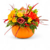 Seasonal Pumpkin - Standard. An arrangement by Appleblossoms.