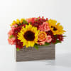 Fresh Cider Bouquet ™ FTD® - Standard. An arrangement by Grower Direct.