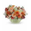 TF Harvest Magic Pumpkin arrangement - Standard. An arrangement by Nicol Florist.