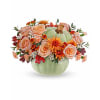 TF Harvest Magic Pumpkin arrangement - Premium. An arrangement by Nicol Florist.