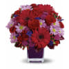 My Party by Jennifers - Premium. An arrangement by Jennifer's Flowers and Gifts.