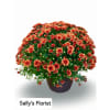 Sally's Fall Garden mom large deluxe