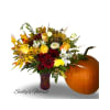 Sally Fall Specials with pumpkin - Premium. An arrangement by Triple A Florist.