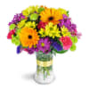 radiant rainbow vase arrangement - Deluxe. An arrangement by Nicol Florist.