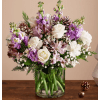 Lovely Lavender For Winter - Premium. An arrangement by Susana's Flowers.
