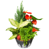 Luscious Seasonal Planter - Deluxe. An arrangement by Avenue Florist.