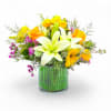 Sunburst Blossom Vase premium
