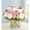 Elegant Blush standard