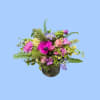 Fairy Garden Glow - Premium. An arrangement by Lilac and Honey Floral Design Studio.