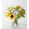 Good Morning Sunshine - Standard. An arrangement by The Flower Box Florist.