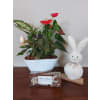 Everybunny Needs Somebunny - Deluxe. An arrangement by Loyalist Flowers.
