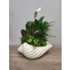 Floridian Foliage - Standard. An arrangement by The Farmers Petals.