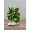 Floridian Foliage - Deluxe. An arrangement by The Farmers Petals.