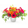 Wondrous Blooms - Deluxe. An arrangement by Appleblossoms.