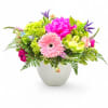 Fresh Flora Delight - Standard. An arrangement by Appleblossoms.