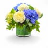 Harmonious Hydrangea - Standard. An arrangement by Appleblossoms.