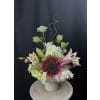 The Local Selection Vased Arrangement - Premium. An arrangement by The Dogwood Tree.