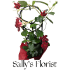 Sally’s Maple Kiss Climber - Standard. An arrangement by Triple A Florist.