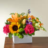 The Best Day Box - Deluxe. An arrangement by Sueppel's Flowers.