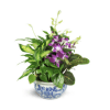 Memory Planter - Standard. An arrangement by Selden Florist.