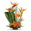 Exotic Grace T77-1A - Deluxe. An arrangement by Jennifer's Flowers and Gifts.