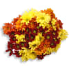 Seasonal Flower Cut Flower Bouquet - Standard. An arrangement by The Village Green Florist.
