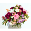 Celestial Moonkin - Premium. An arrangement by My Secret Garden.