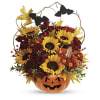 Jack O' Lantern Blooms - Premium. An arrangement by Flore's Shop.