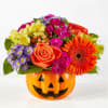 FTD Tricks and Treats - Standard. An arrangement by Pierson's Flower Shop and Greenhouses.