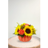 Harvest Traditions Pumpkin - Standard. An arrangement by Blossoms On The Trail.